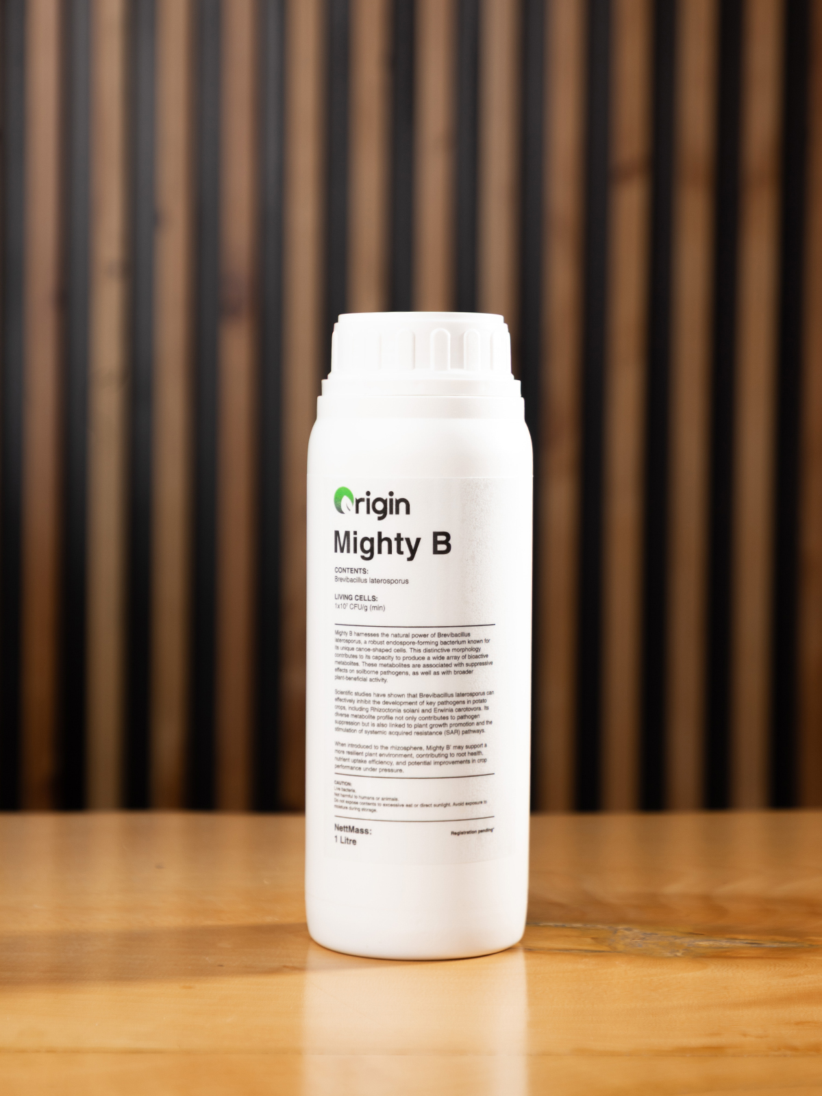 Mighty B