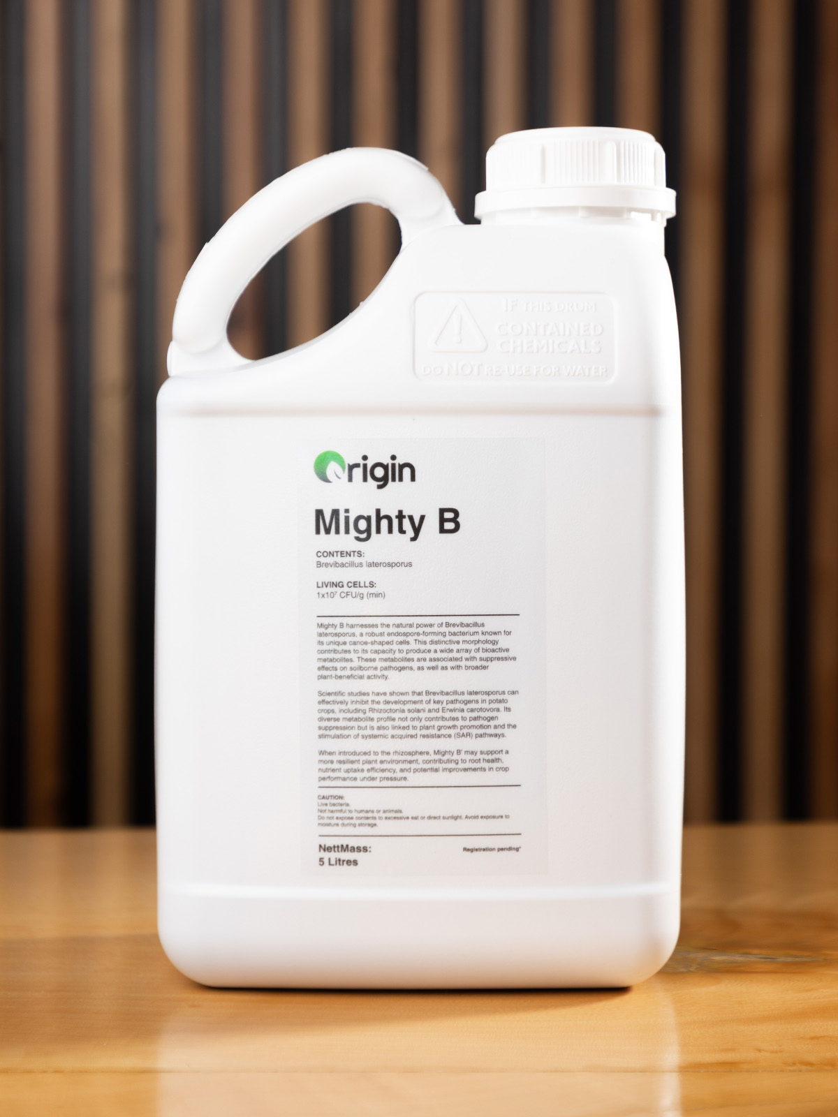 Mighty B - Image 3